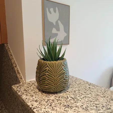 Apartamento Terra D'aneu